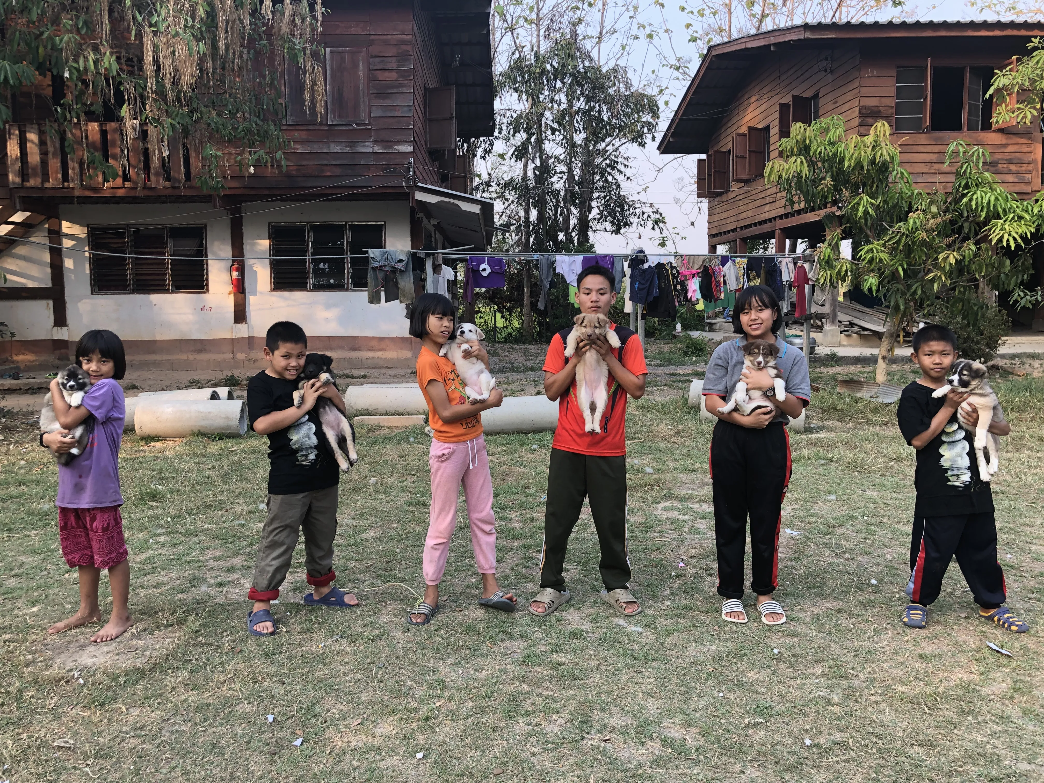 Children with puppies at the foundation